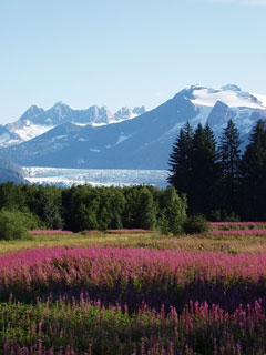 Mendenhall Glacier, Juneau Alaska